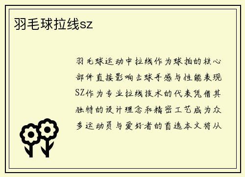 羽毛球拉线sz